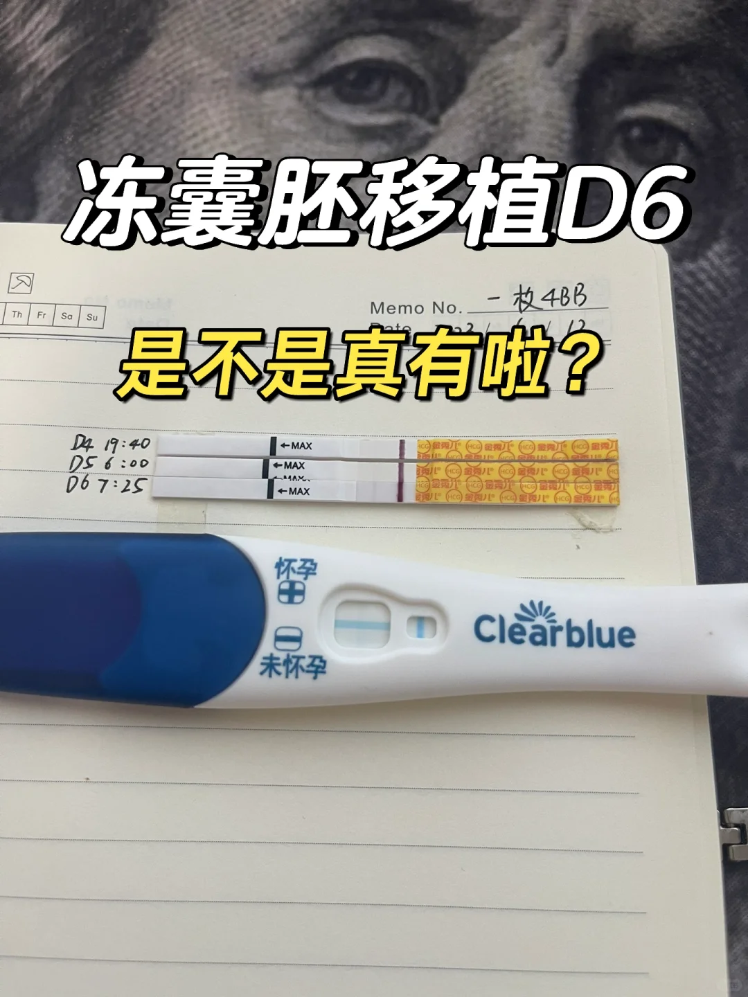冻囊胚移植第6天