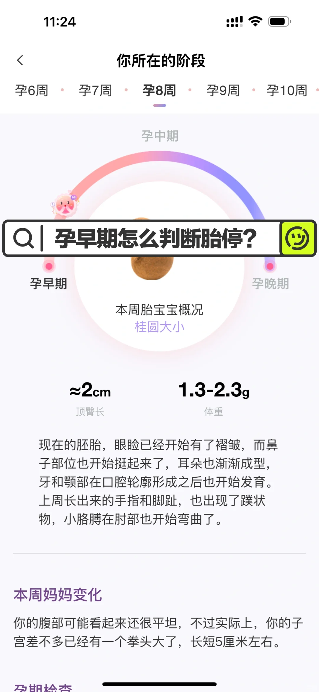 有胎心胎芽后怎么判断胎停？
