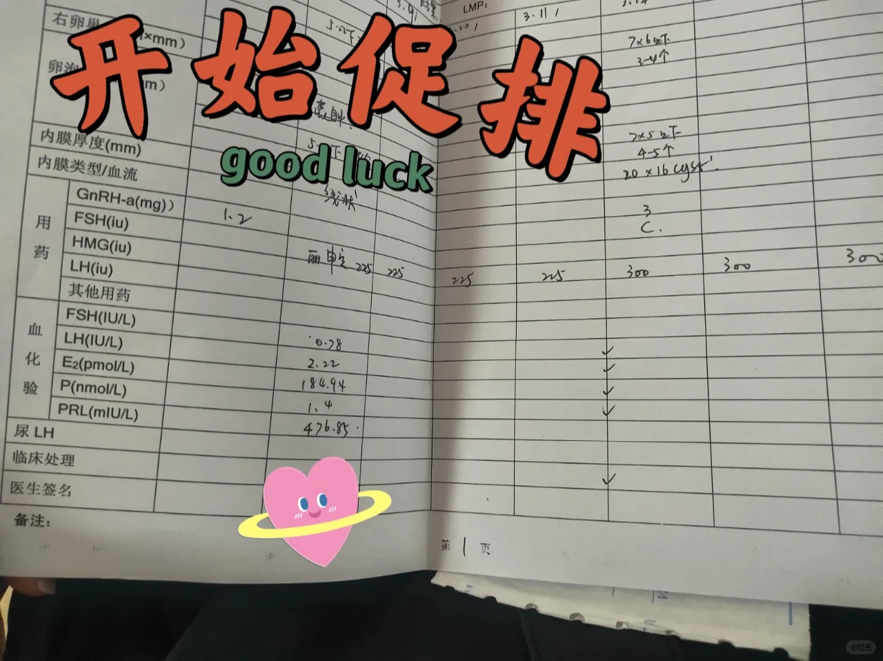 开始进入促排阶段